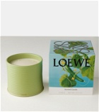 Loewe Home Scents Cucumber Large candle