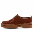 KLEMAN Men's Major Shoe in Cognac