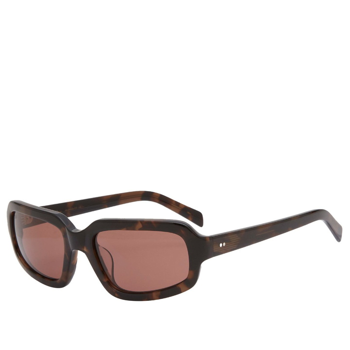 Photo: AKILA Jupiter Sunglasses in Tortoise/Purple 