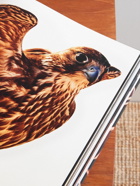 Assouline - Falcons from Saudi Arabia Hardcover Book