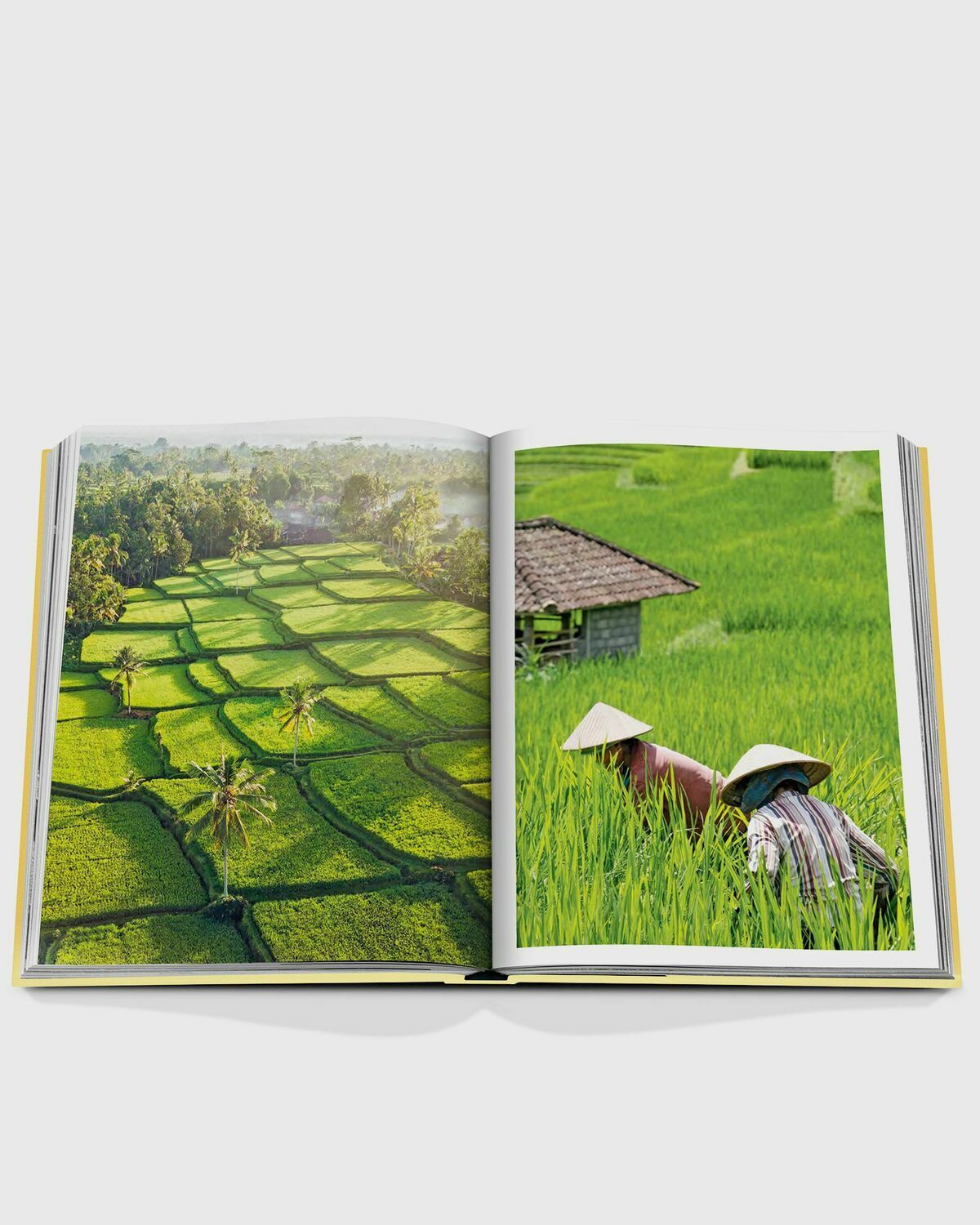 Assouline "Bali Mystique" By Elora Hardy Multi Travel