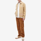 ICECREAM Men's Embroidered Corduroy Pants in Brown