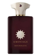 Amouage Unisex Boundless EDP 3.4 oz Fragrances 701666410386