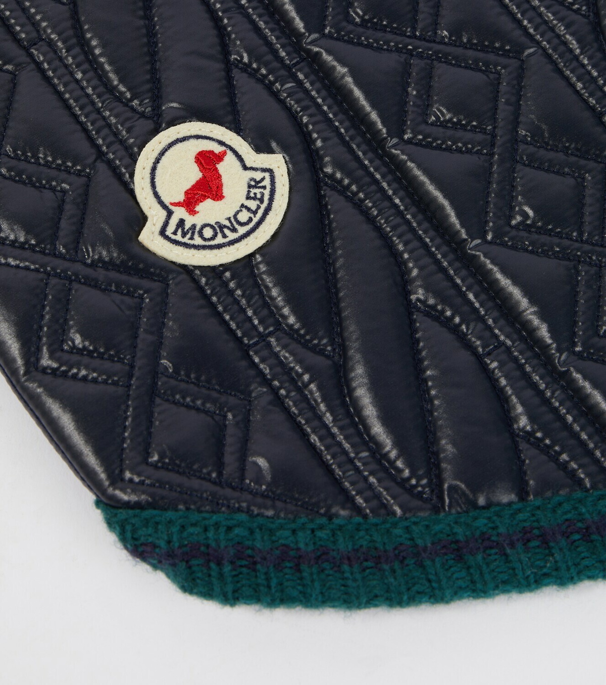 Moncler Moncler Poldo Dog Couture dog coat