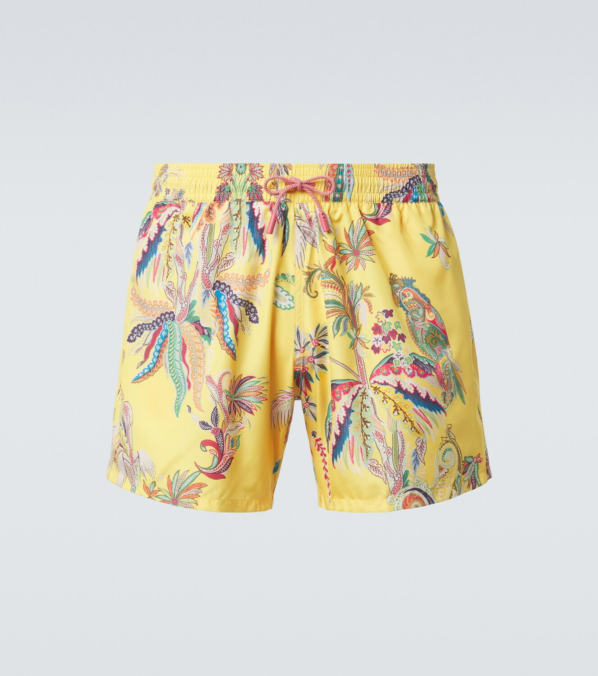 Etro Printed swim trunks