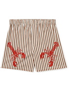 BODE - Lobster Bake Straight-Leg Printed Striped Cotton Shorts - Brown