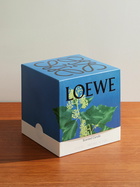 Loewe Perfumes - Ivy Large Scent Candle, 2120g