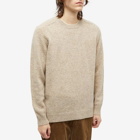 NN07 Men's Nathan Crew Knit in Khaki