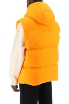 Moncler Apus Down Vest