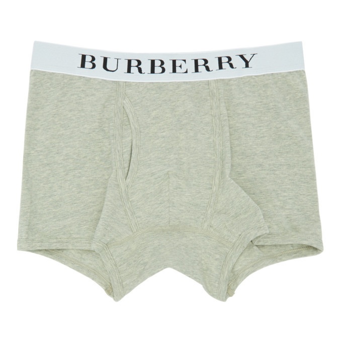 Burberry Grey Truro Boxer Briefs