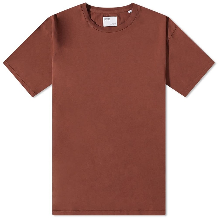 Photo: Colorful Standard Men's Classic Organic T-Shirt in Cinnamon Brown