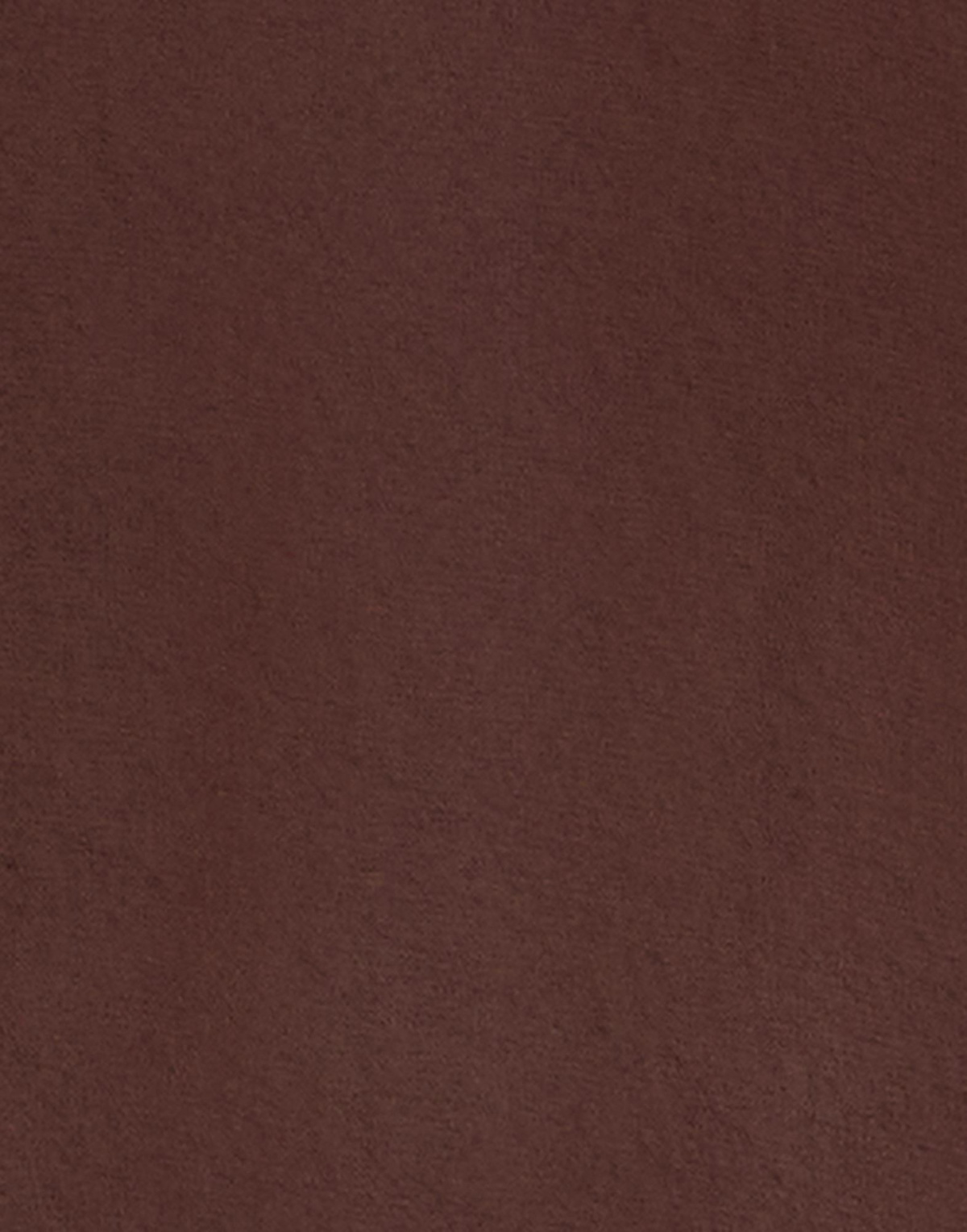 Manila Grace Womens Shirt in Brown