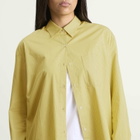 LESET Women's Yoshi Classic Button Down Shirt in Lemon/Chocolate Stripe
